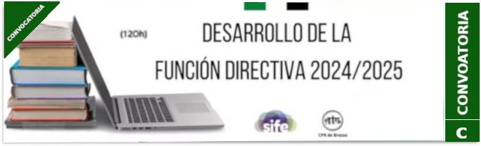 Curso Desarrollo de la Función Directiva